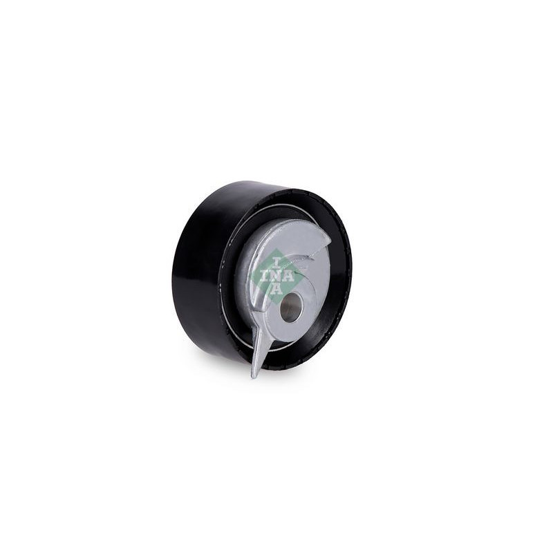 Tendicinghia distribuzione - INA