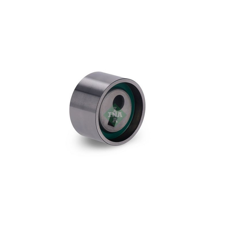 Tendicinghia distribuzione - INA