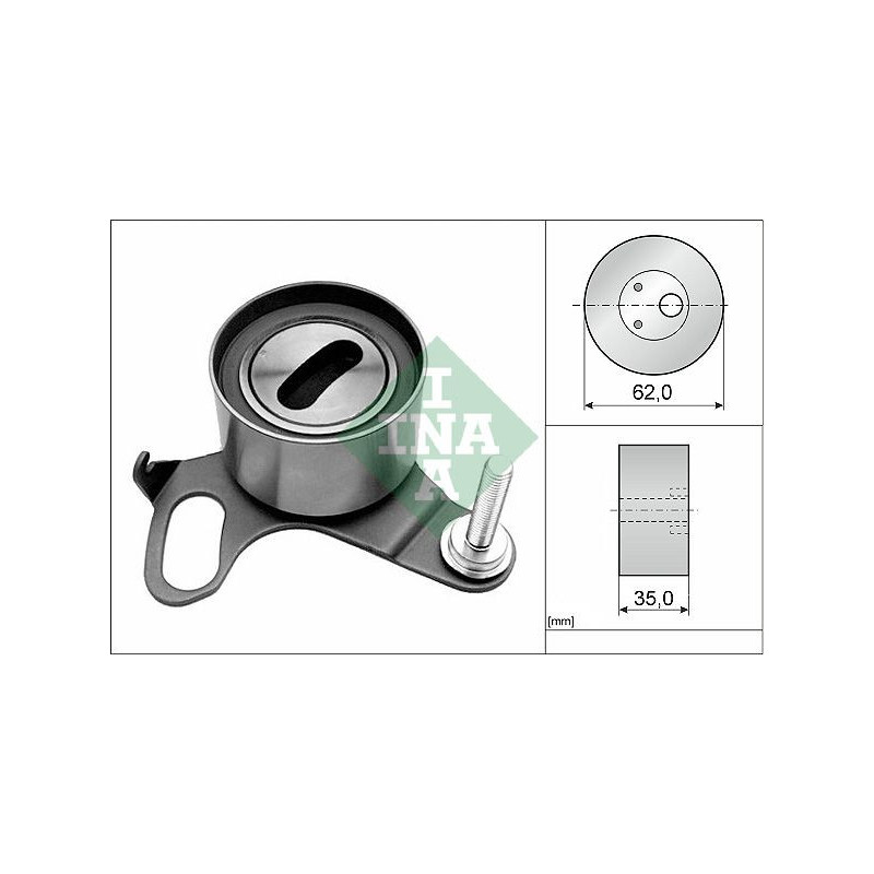 Tendicinghia distribuzione - INA