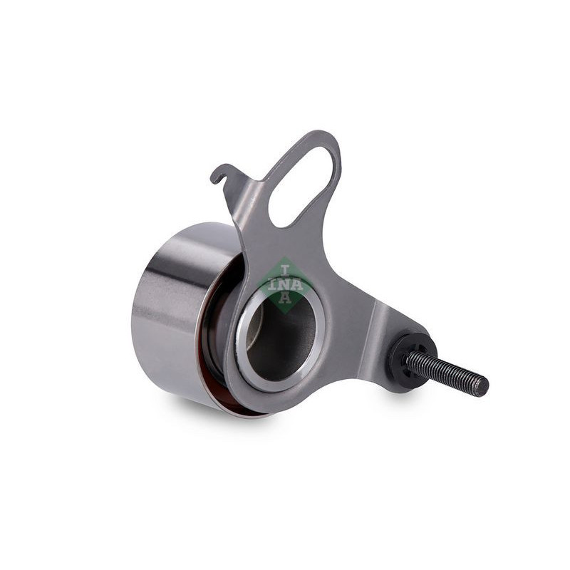 Tendicinghia distribuzione - INA