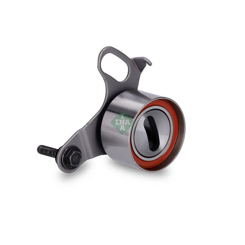 Tendicinghia distribuzione - INA