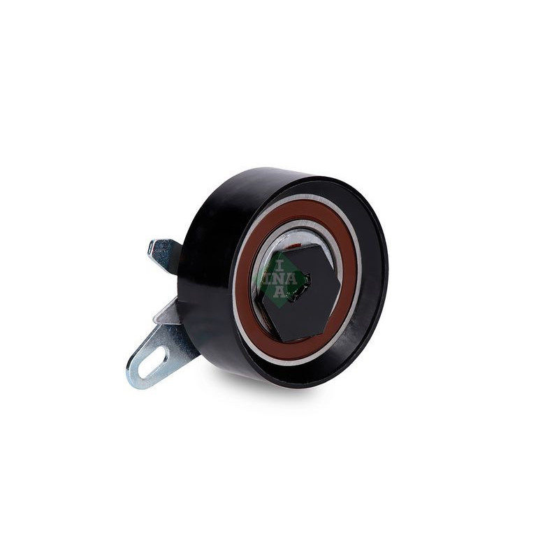 Tendicinghia distribuzione - INA