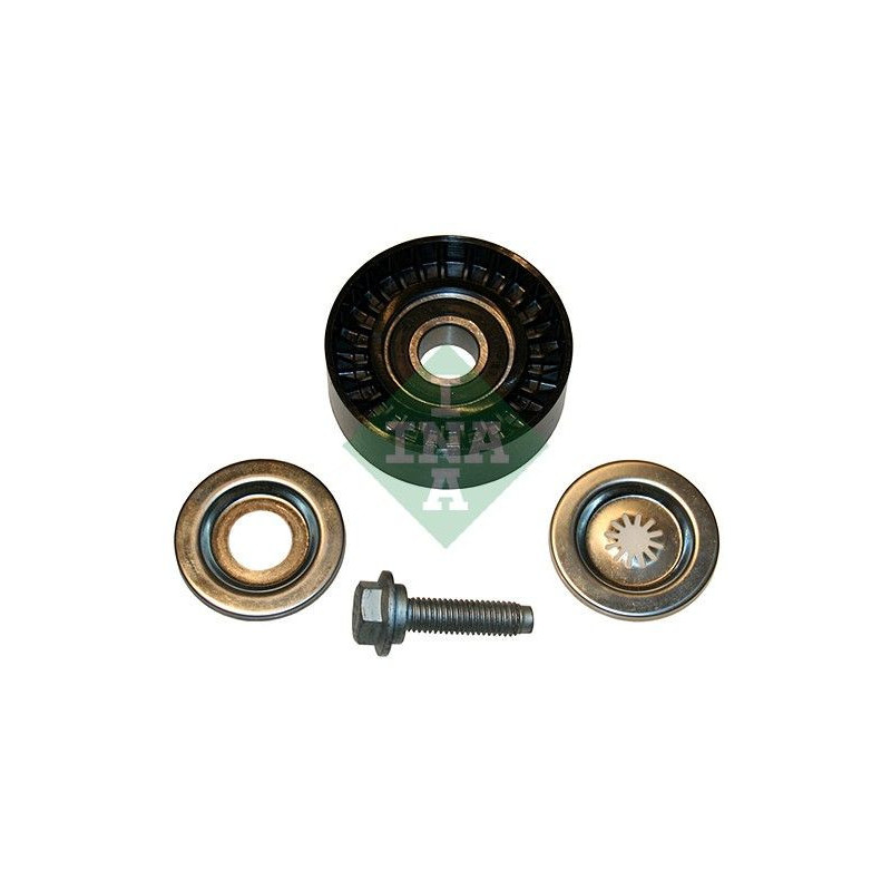 Tendicinghia trapezoidale - INA