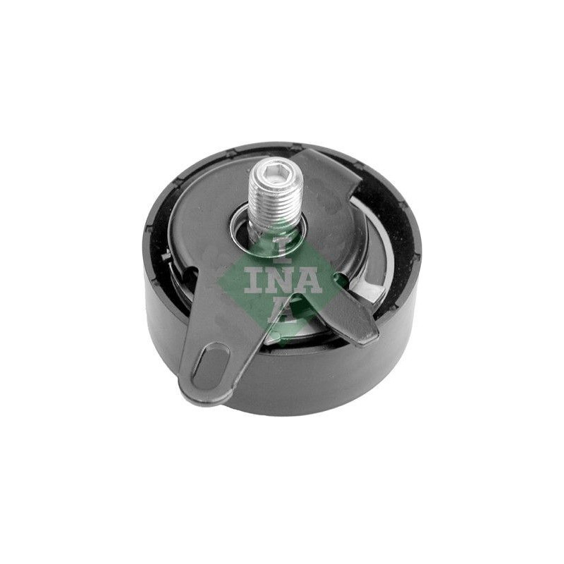 Tendicinghia distribuzione - INA