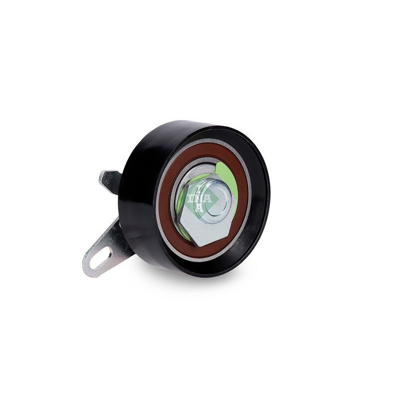 Tendicinghia distribuzione - INA