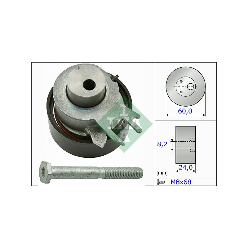 Tendicinghia distribuzione - INA