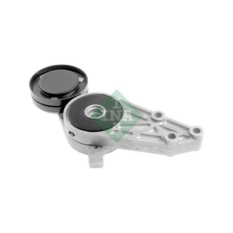 Tendicinghia trapezoidale - INA