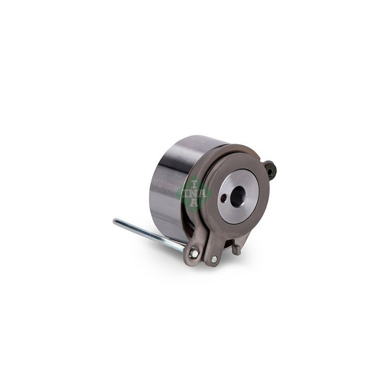 Tendicinghia distribuzione - INA