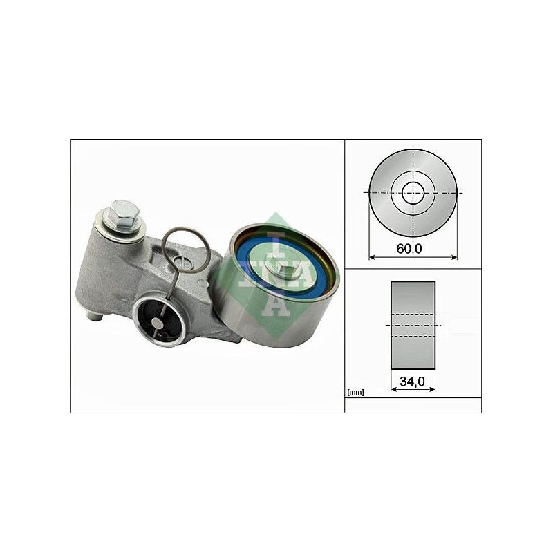 Tendicinghia distribuzione - INA