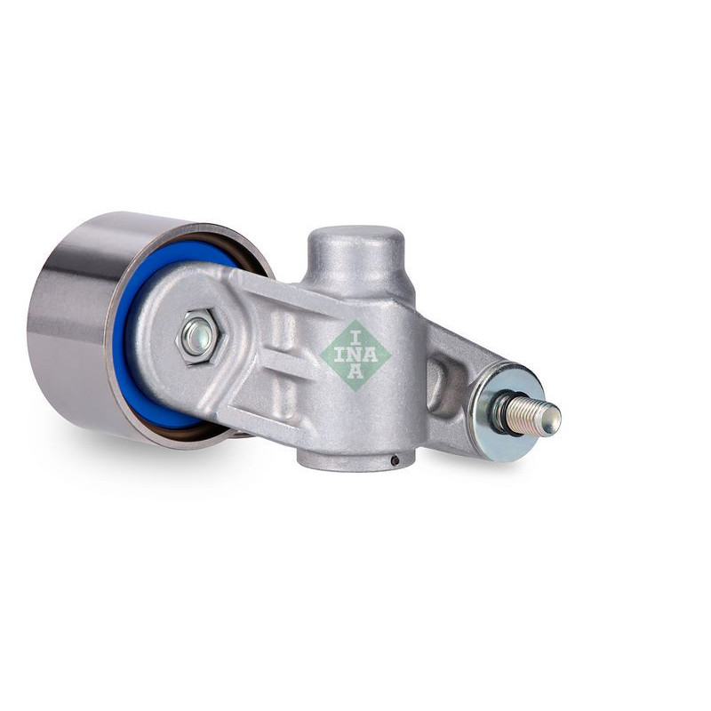 Tendicinghia distribuzione - INA