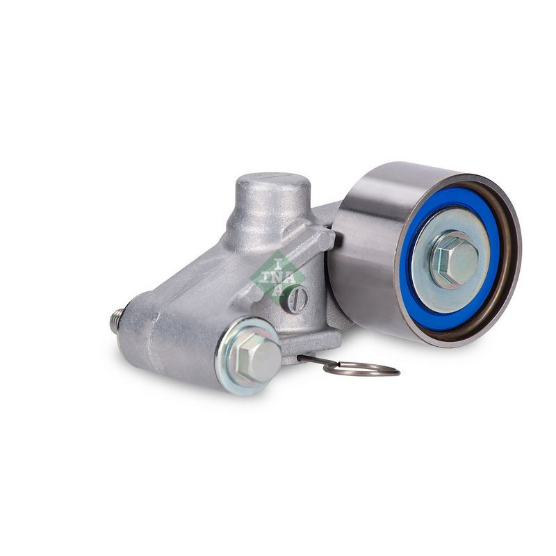 Tendicinghia distribuzione - INA