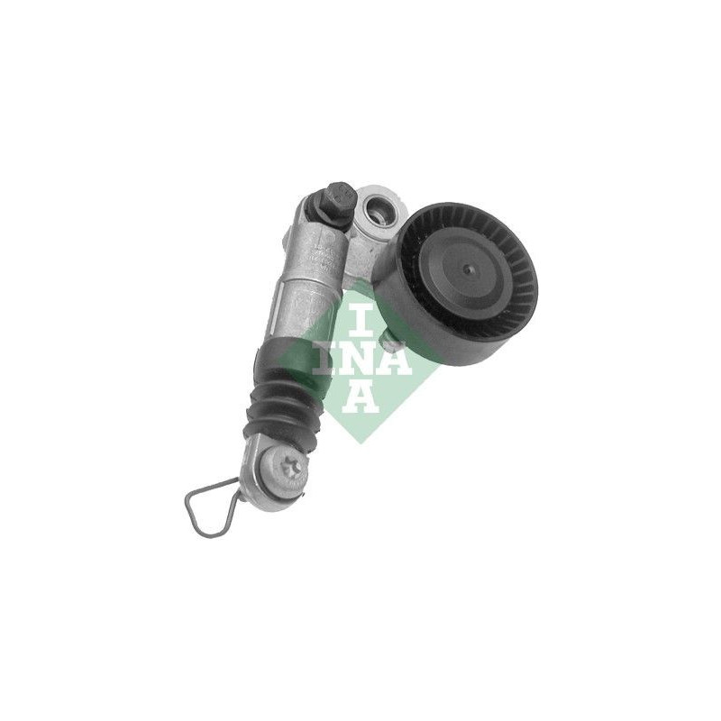 Tendicinghia trapezoidale - INA