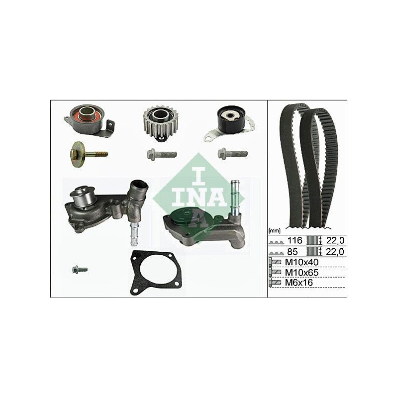 Cinghia/catena distribuzione - INA