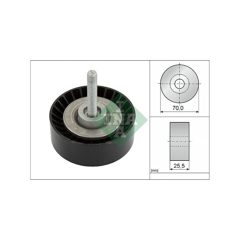 Tendicinghia trapezoidale - INA