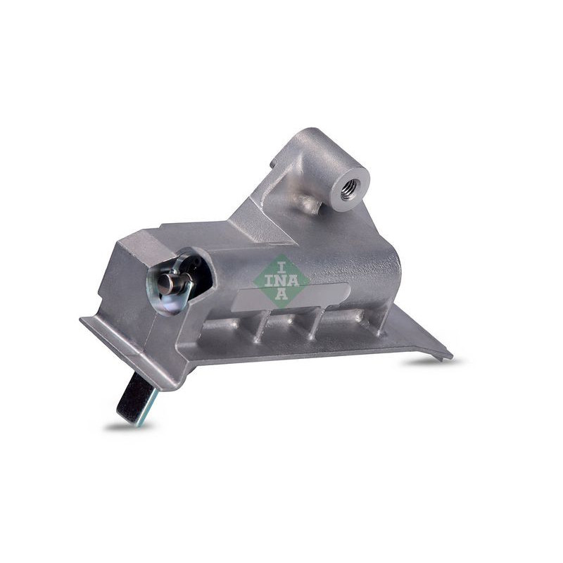 Tendicinghia distribuzione - INA