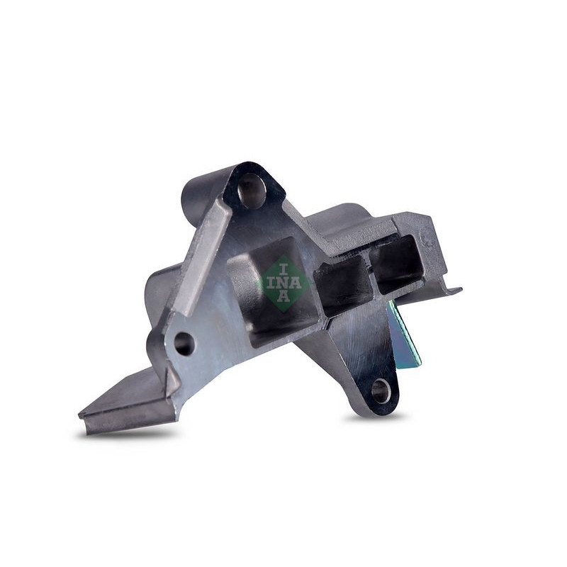 Tendicinghia distribuzione - INA