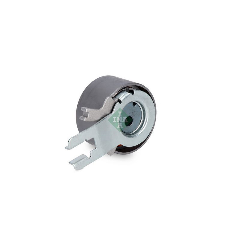 Tendicinghia distribuzione - INA