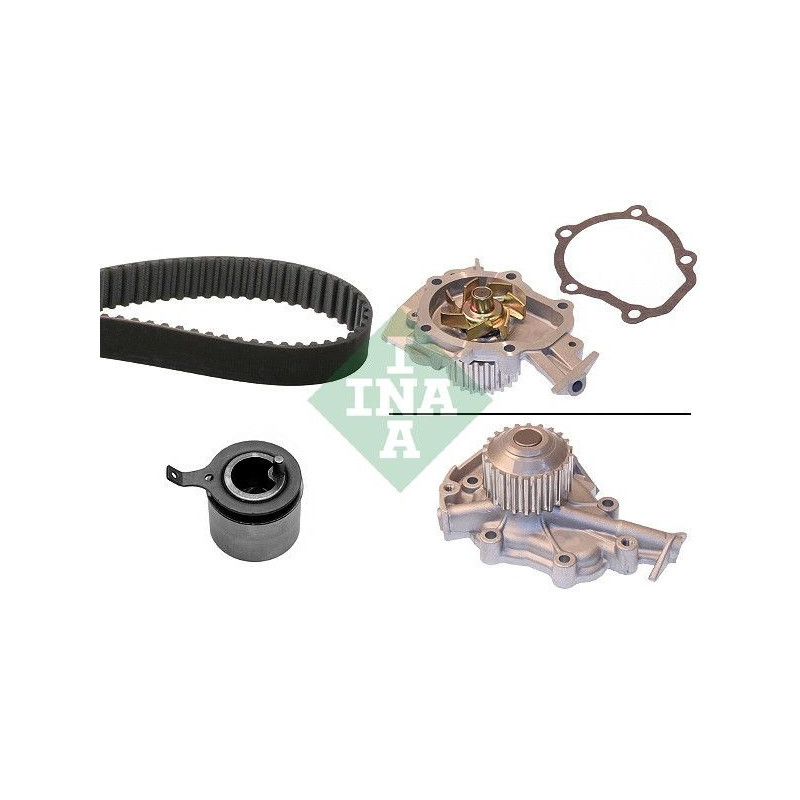 Cinghia/catena distribuzione - INA