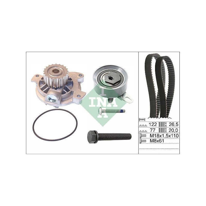 Cinghia/catena distribuzione - INA