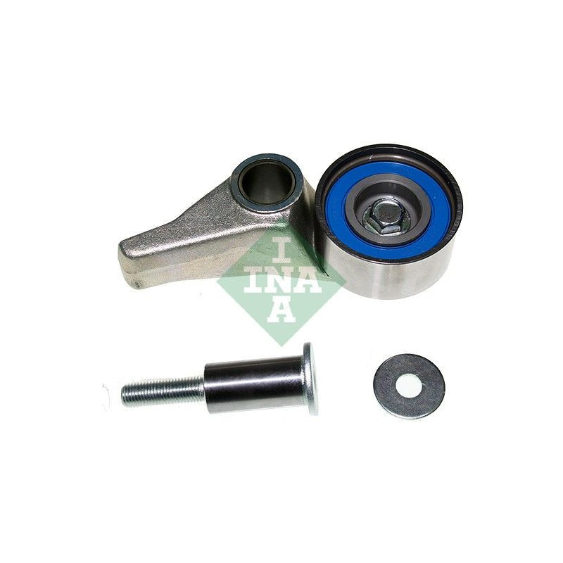 Tendicinghia distribuzione - INA