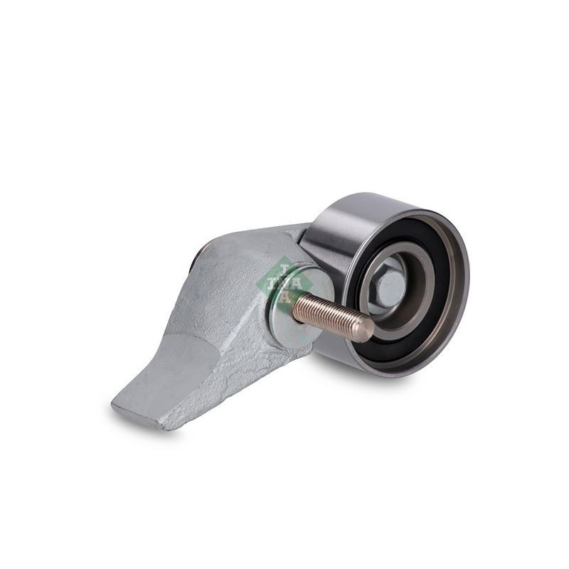 Tendicinghia distribuzione - INA