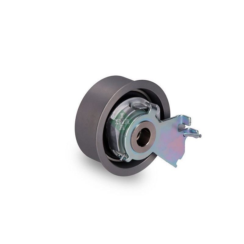 Tendicinghia distribuzione - INA