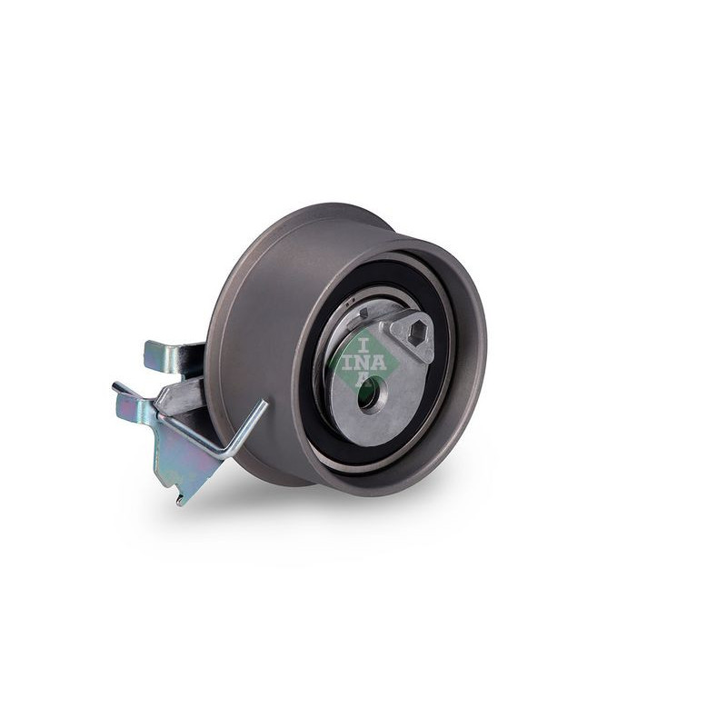 Tendicinghia distribuzione - INA