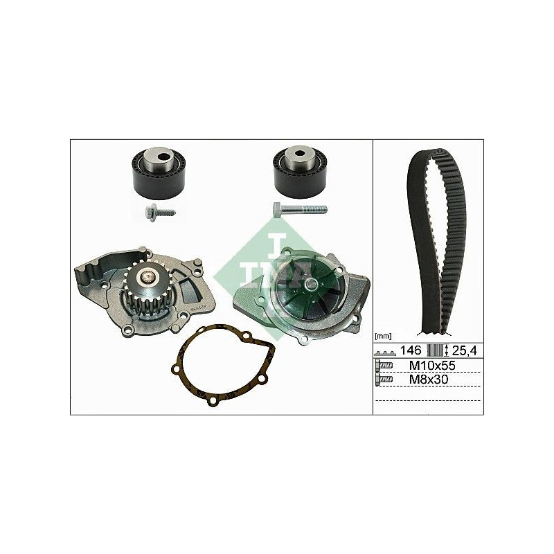 Tendicinghia distribuzione - INA