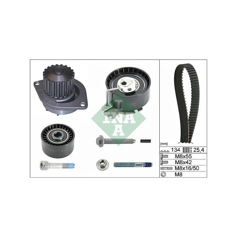 Kit distribuzione - INA