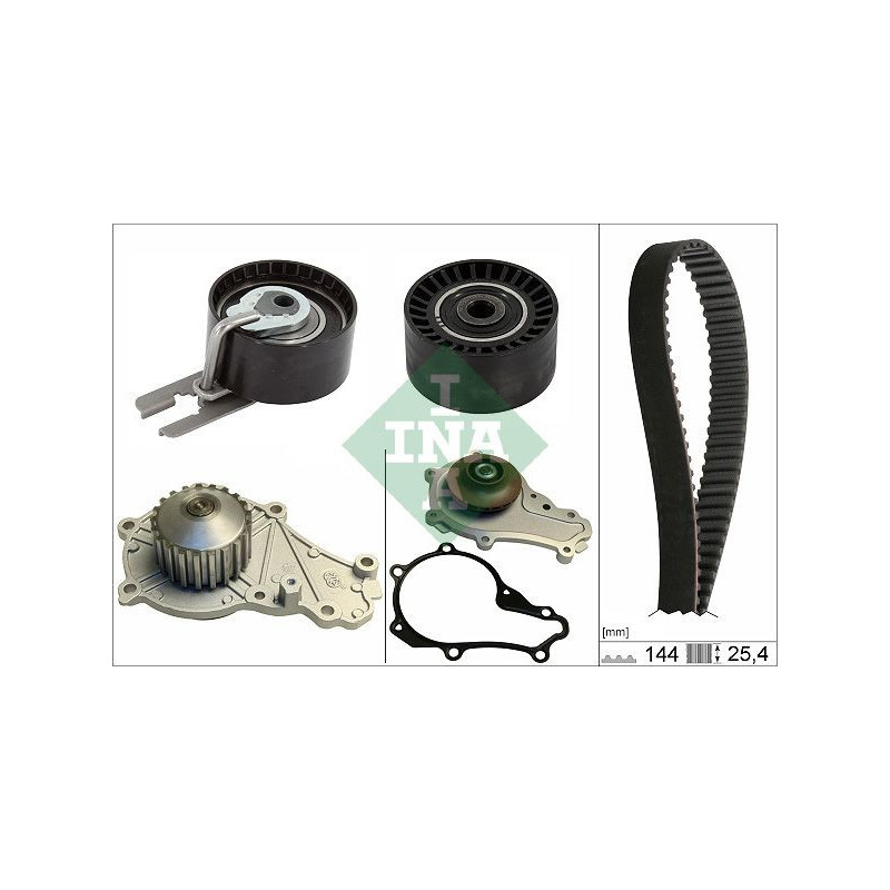 Tendicinghia trapezoidale - INA