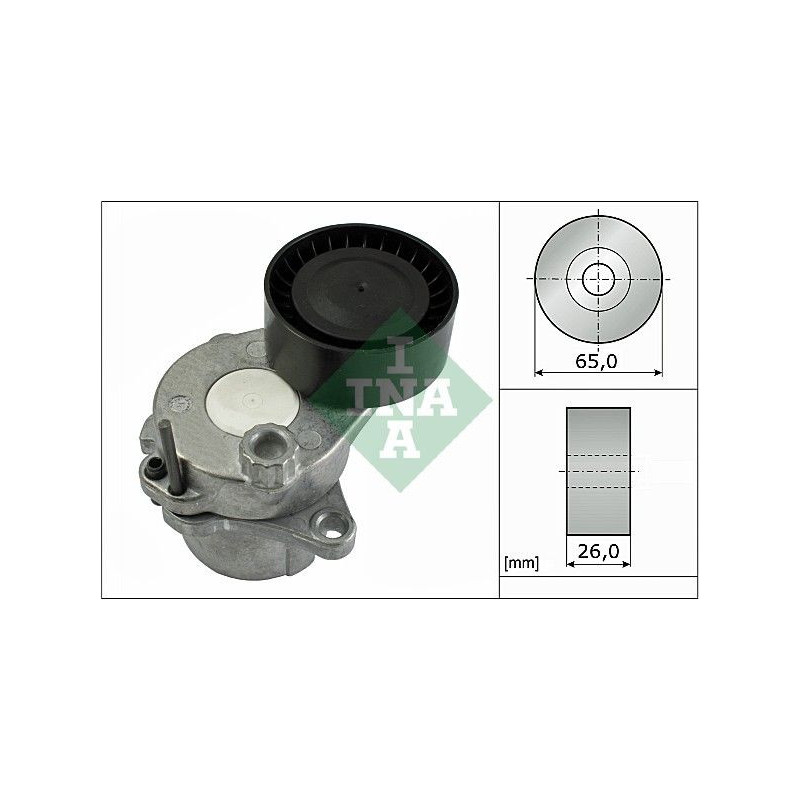Tendicinghia trapezoidale - INA