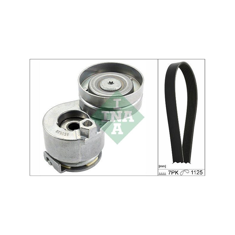 Kit distribuzione - INA