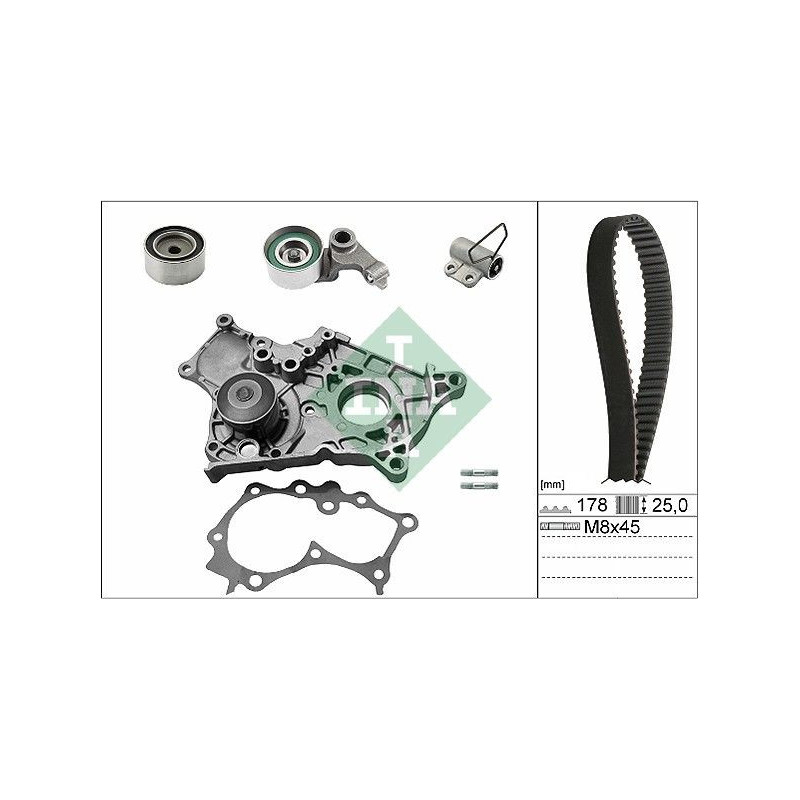 Tendicinghia trapezoidale - INA