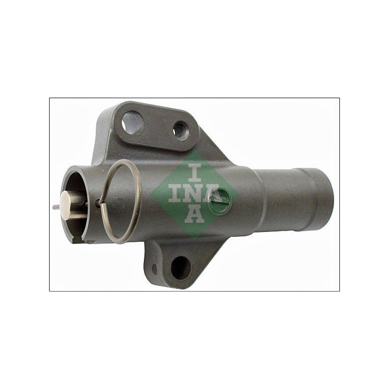 Tendicinghia distribuzione - INA