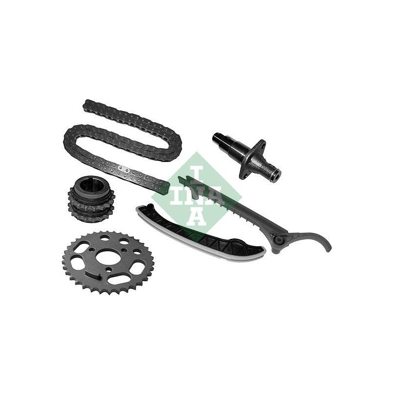 Paraolio albero motore - INA