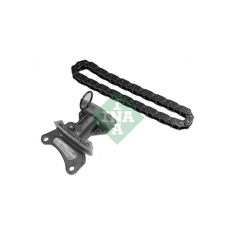 Paraolio albero motore - INA