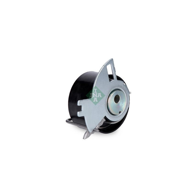 Tendicinghia distribuzione - INA