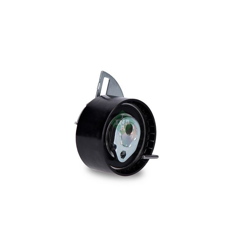 Tendicinghia distribuzione - INA