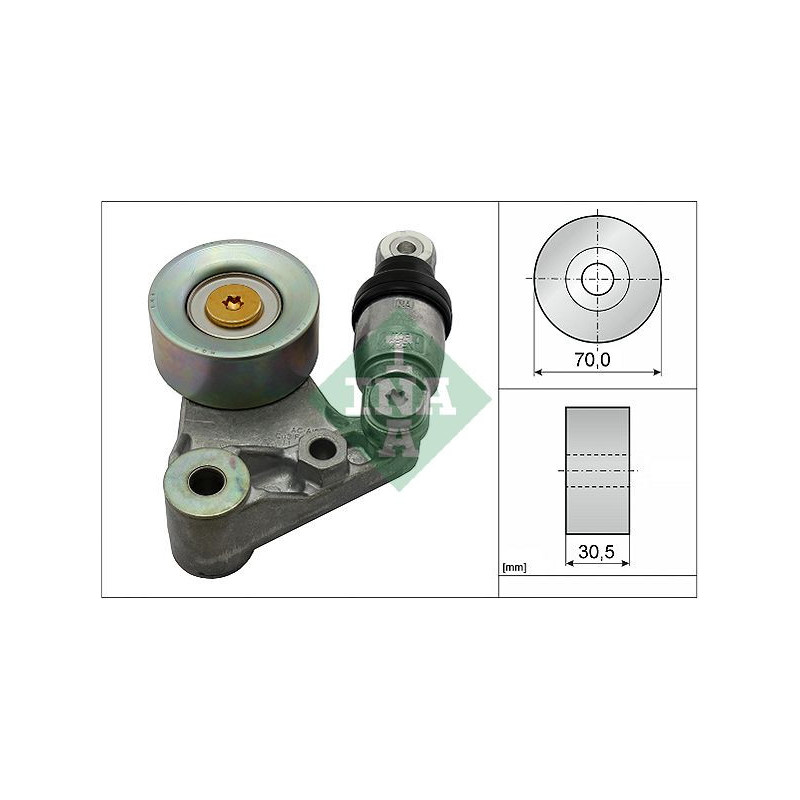 Tendicinghia trapezoidale - INA