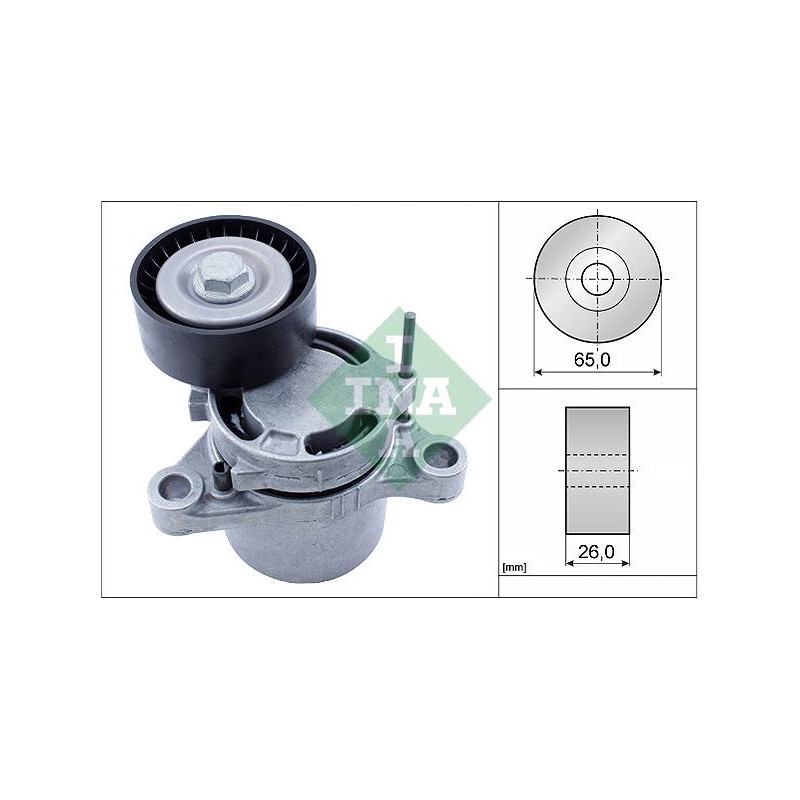Tendicinghia trapezoidale - INA