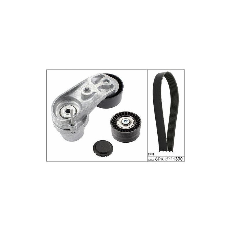 Kit cinghia trapezoidale - INA