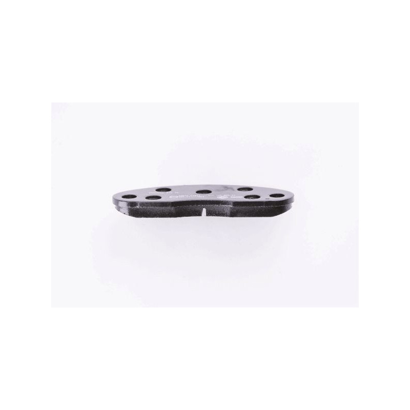 Pastiglie freno asse anteriore - PAGID