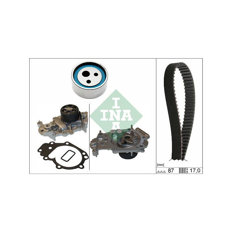 Cinghia/catena distribuzione - INA