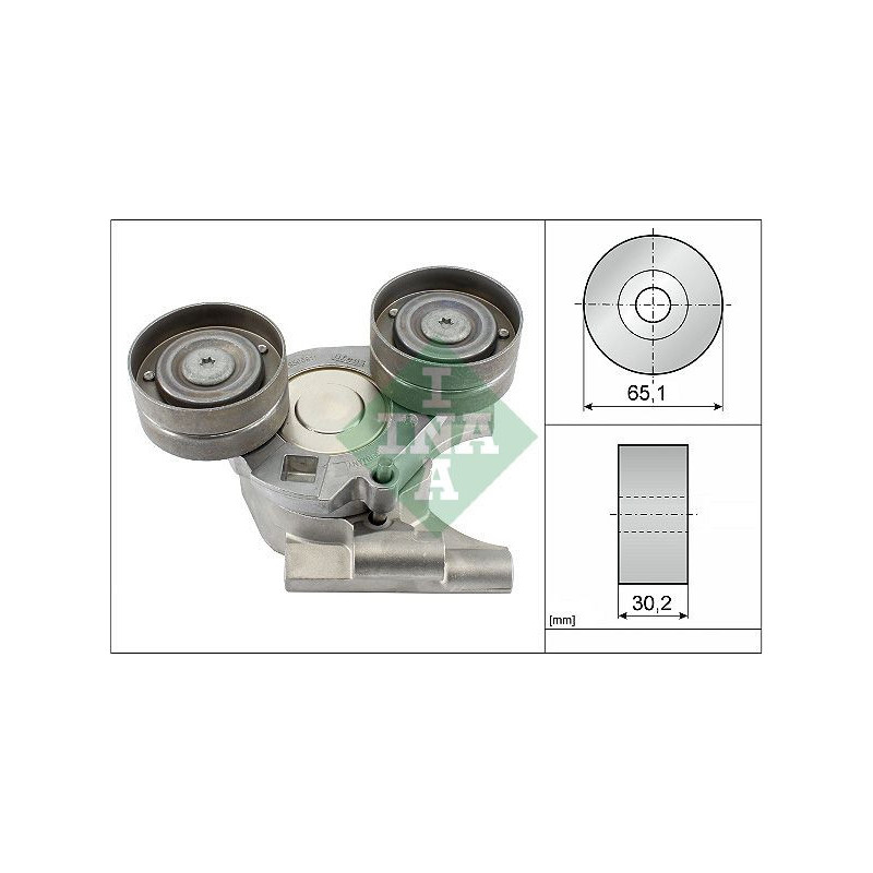 Tendicinghia trapezoidale - INA