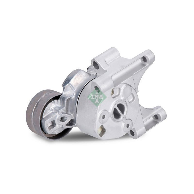 Tendicinghia trapezoidale - INA