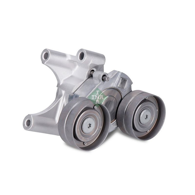 Tendicinghia trapezoidale - INA