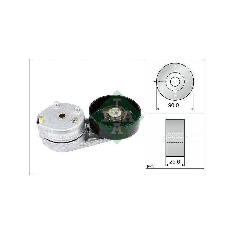 Tendicinghia trapezoidale - INA