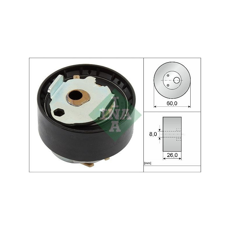 Tendicinghia distribuzione - INA