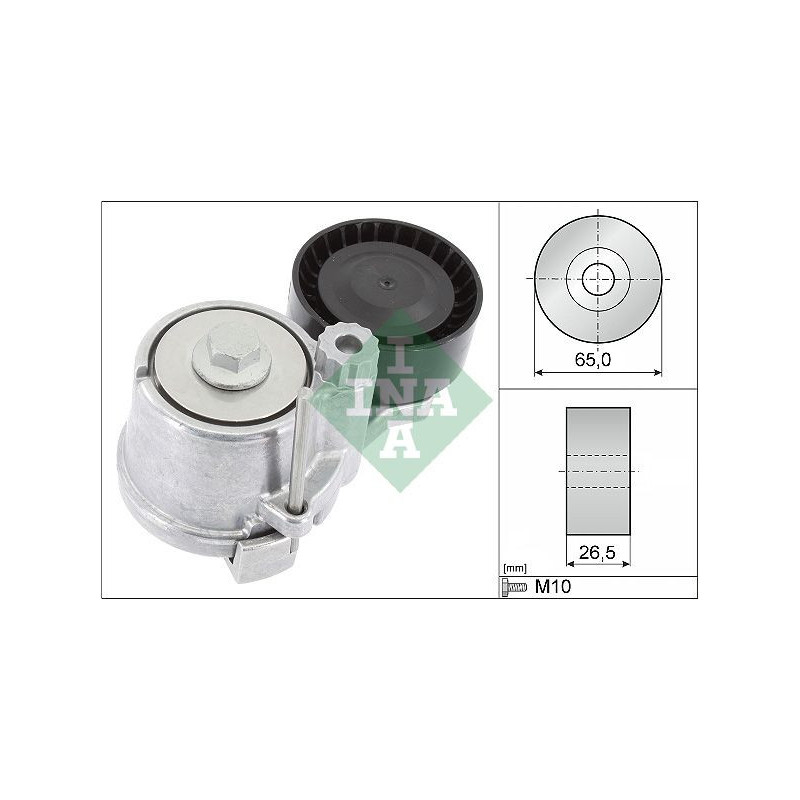 Tendicinghia trapezoidale - INA