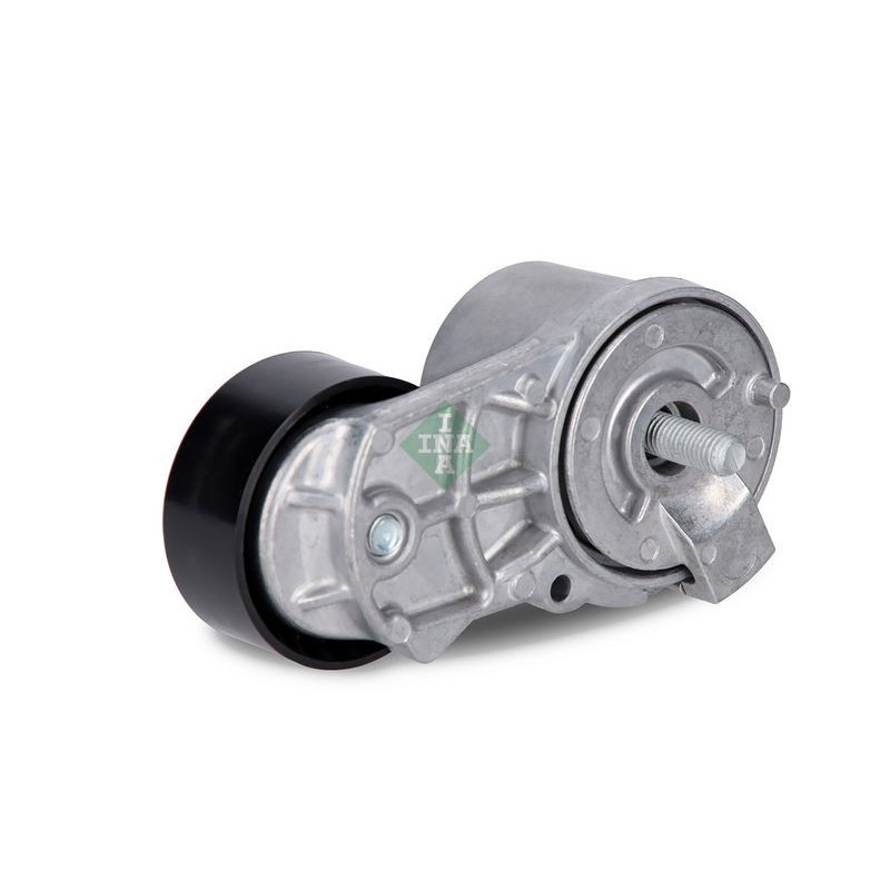 Tendicinghia trapezoidale - INA